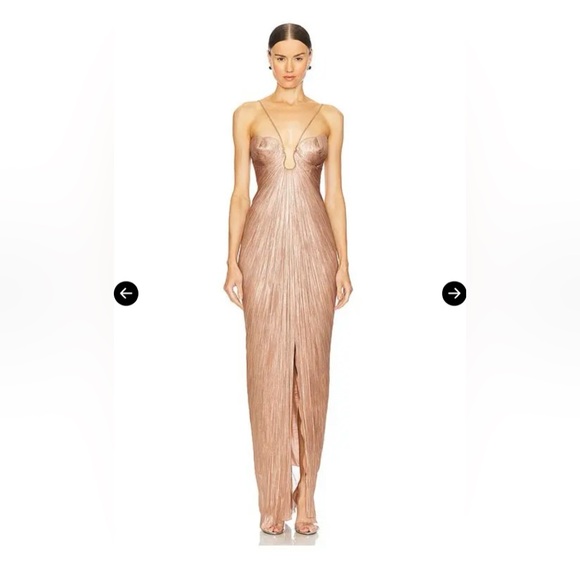 Maria Lucia Hohan Dresses & Skirts - Maria Lucia Hohan Pleated Dress in Creme Brulee